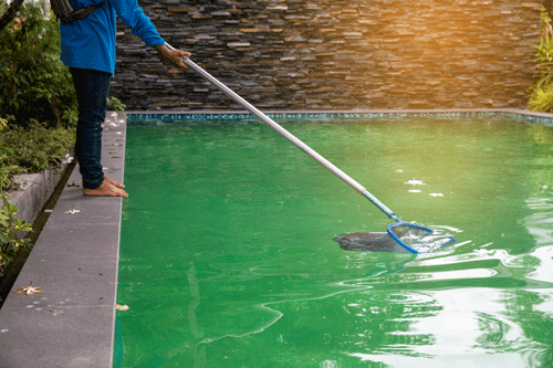 Finding Peace in the Practice: Fall Pool Maintenance As Me TimeImage