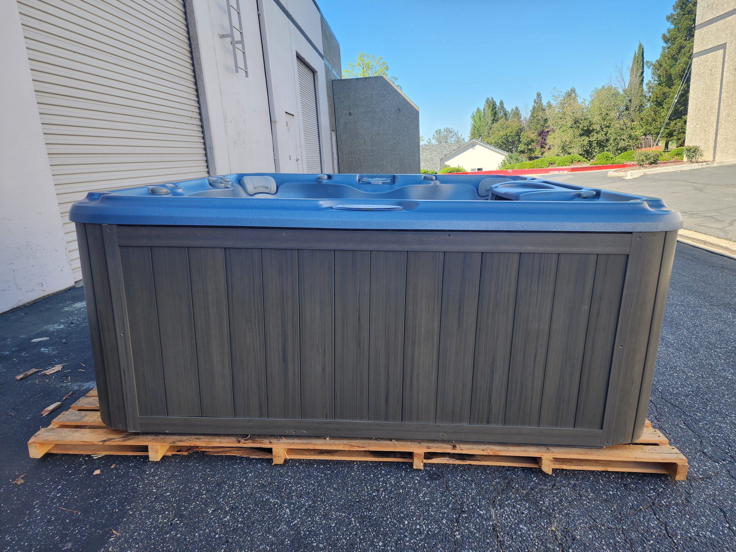 2010 Sundance Chelsee